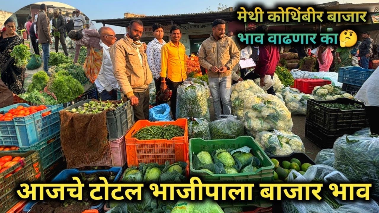 9 February 2026  आजचे टोटल भाजीपला बाजार भाव ||tomato bajar bhva jalna ||vangi mirchi gobi