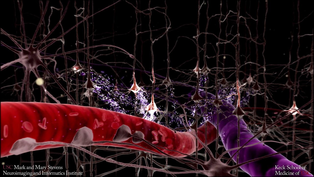 fMRI and the BOLD Signal