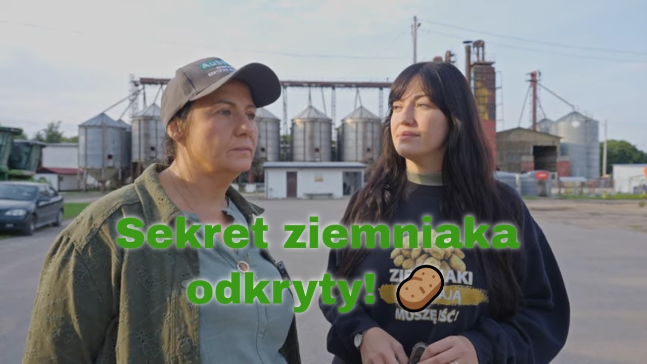 🚜🥔Rolnictwo, które daje plon 🌾 Sadzeniaki ze Szkotowa 🥔Czy będziemy bogaci po wykopkach ?