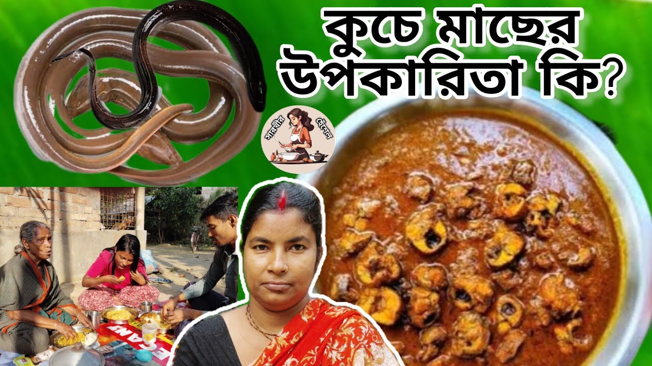 কুচে, কুচিয়া, কুইচা মাছ কাটার সহজ পদ্ধতি/ high blood increase kuche fish recipe #viralvideo #food
