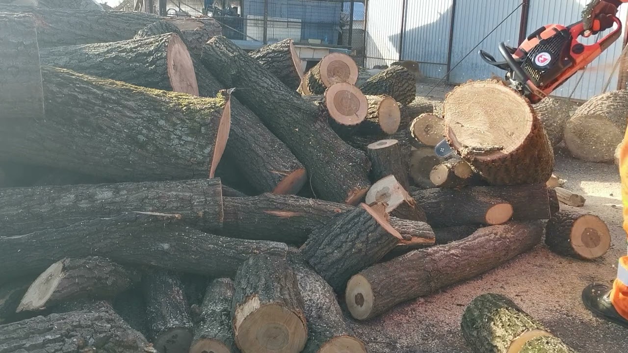 CHAINSAWS MARUYAMA mcv 5100s/DOLMAR 5105/ 3,8 hp-50 cc. Cutting the wood for next winter.