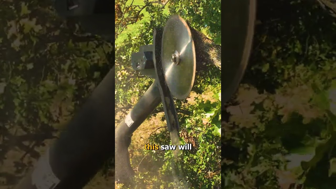 The Safest Way To Cut Tree Limbs! 🪚 #treesaw #farmsafety #treetrimming