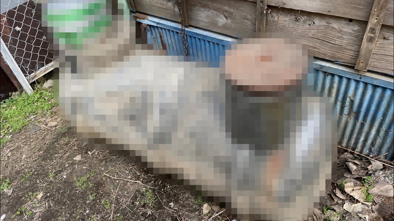 地面から出てきた謎の物体？【廃墟再生DIY#19 】築70年以上の空き家をDIYでフルリノベーション🔨