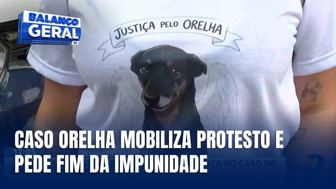 Manifestação em Florianópolis pede justiça por cão morto na praia brava
