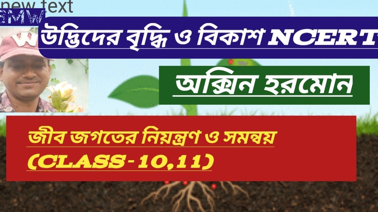 জীব জগতের নিয়ন্ত্রণ ও সমন্বয় 2, উদ্ভিদের বৃদ্ধি ও বিকাশ (NCERT), অক্সিন হরমোন #neet#ncert#pw#ssc