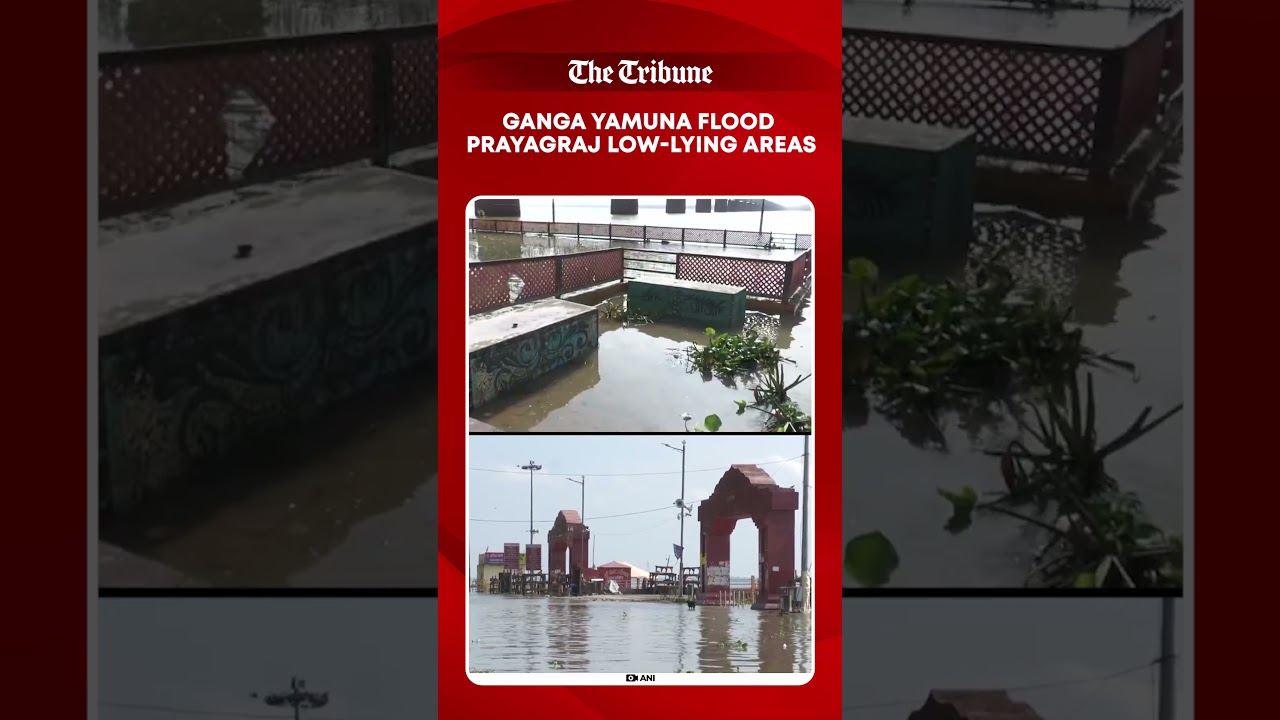 Ganga-Yamuna waters enter Prayagraj settlements as rising rivers submerge low-lying areas