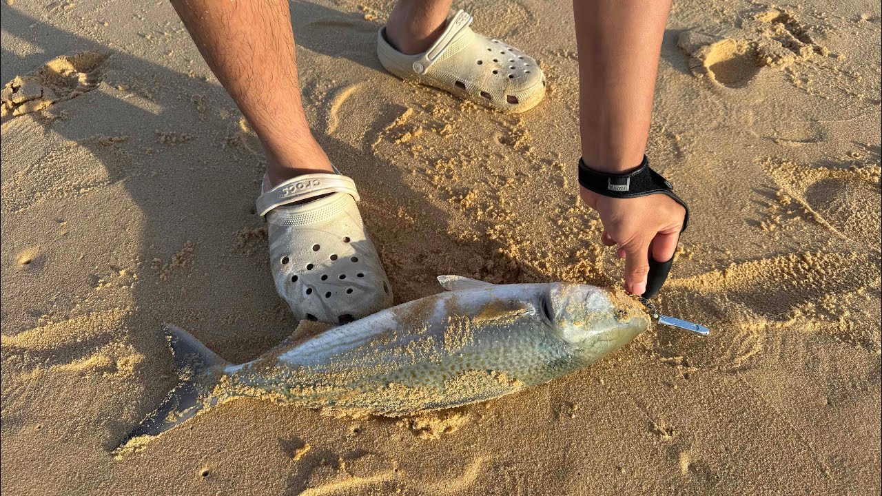 Trying out Zenaq Plaisir Answer PA99 RG rod at Short Point Beach (Merimbula, NSW)