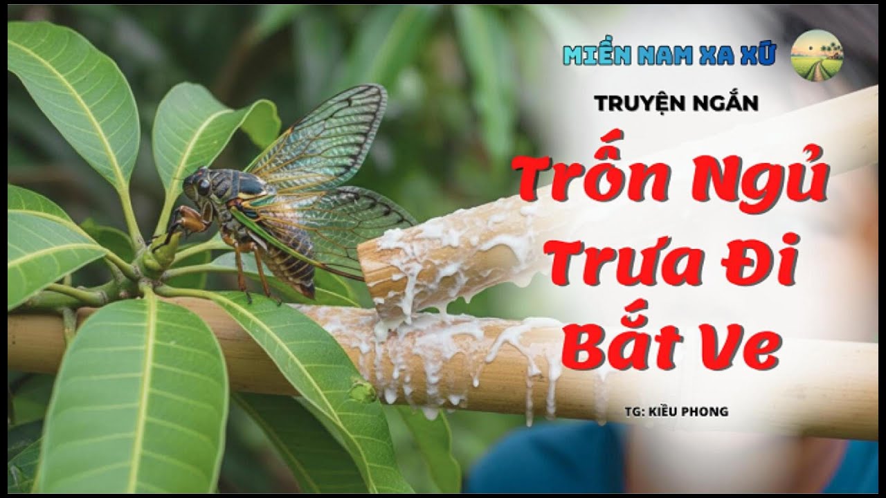 Ai còn nhớ trưa hè trốn ngủ đi bắt ve sầu? Cả một bầu trời thương nhớ ùa về