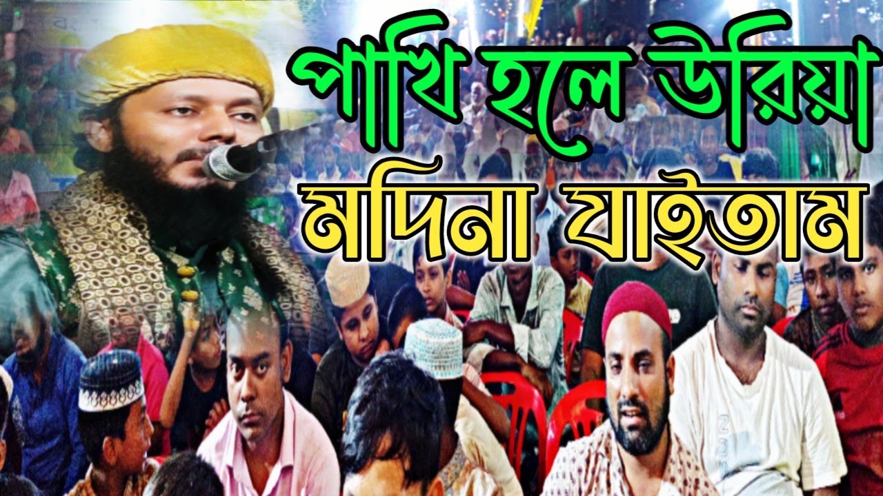 ডানা ওয়ালা পাখি হইতাম উরিয়া মদিনায় যাইতাম। আল্লামা মুফতী হাসনাইন আহমদ আল কাদেরী। শানে রেসালাত মিডিয়া