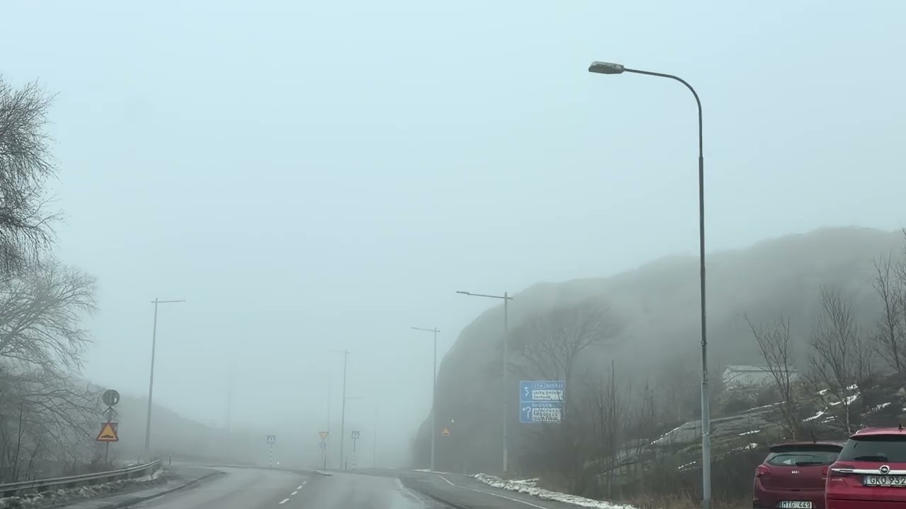 ออกเดินทางสู้ชีวิต🍀สภาพอากาศ❄️หมอกหนามาก | Living in Sweden 