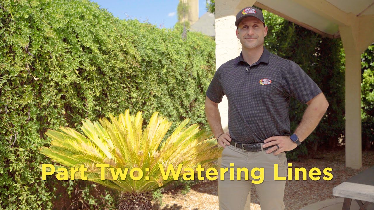 Landscape Watering Part 2: Waterlines