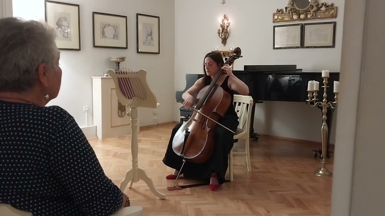 mozarthaus bach II recital 2024