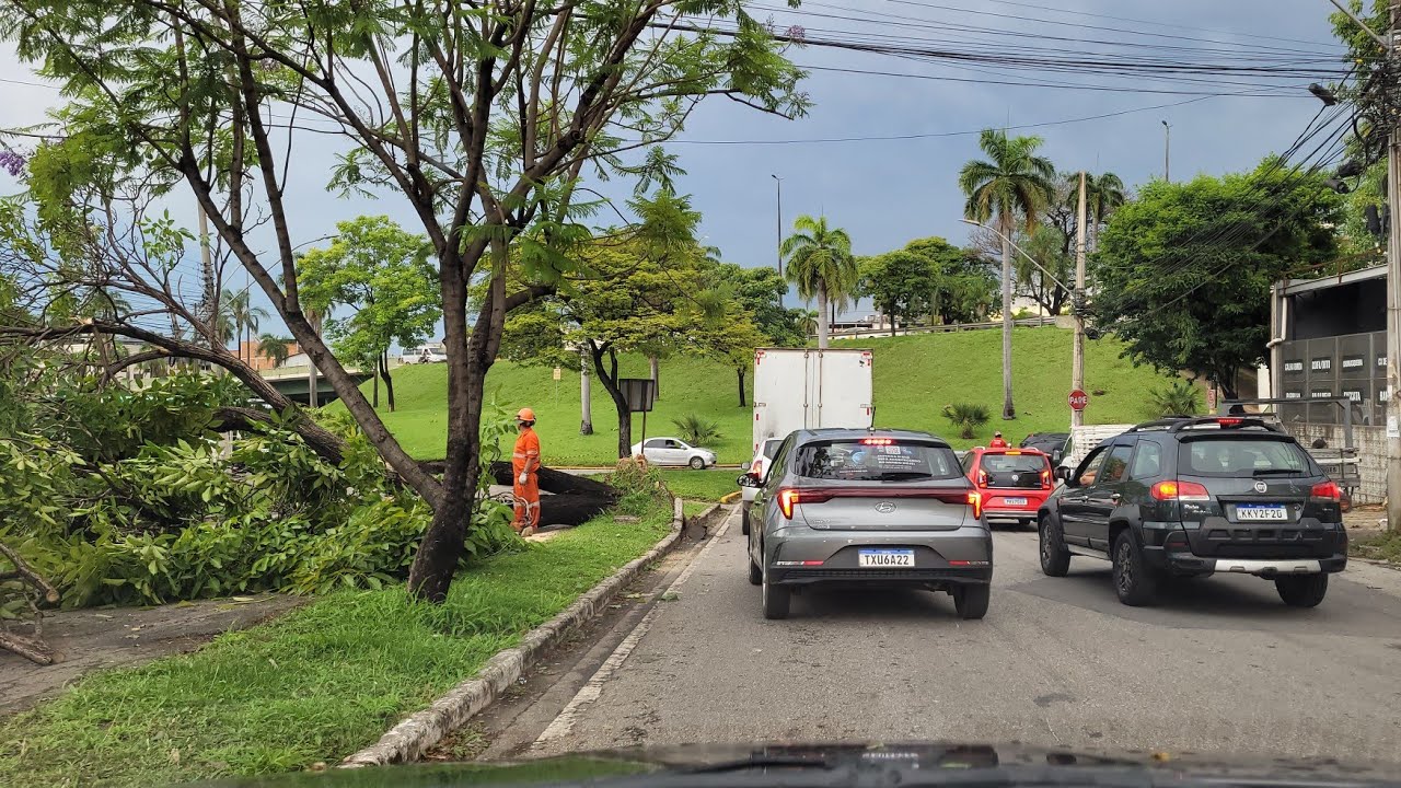 Chuva em Ipatinga chegou arrancar árvores e destelhou casas