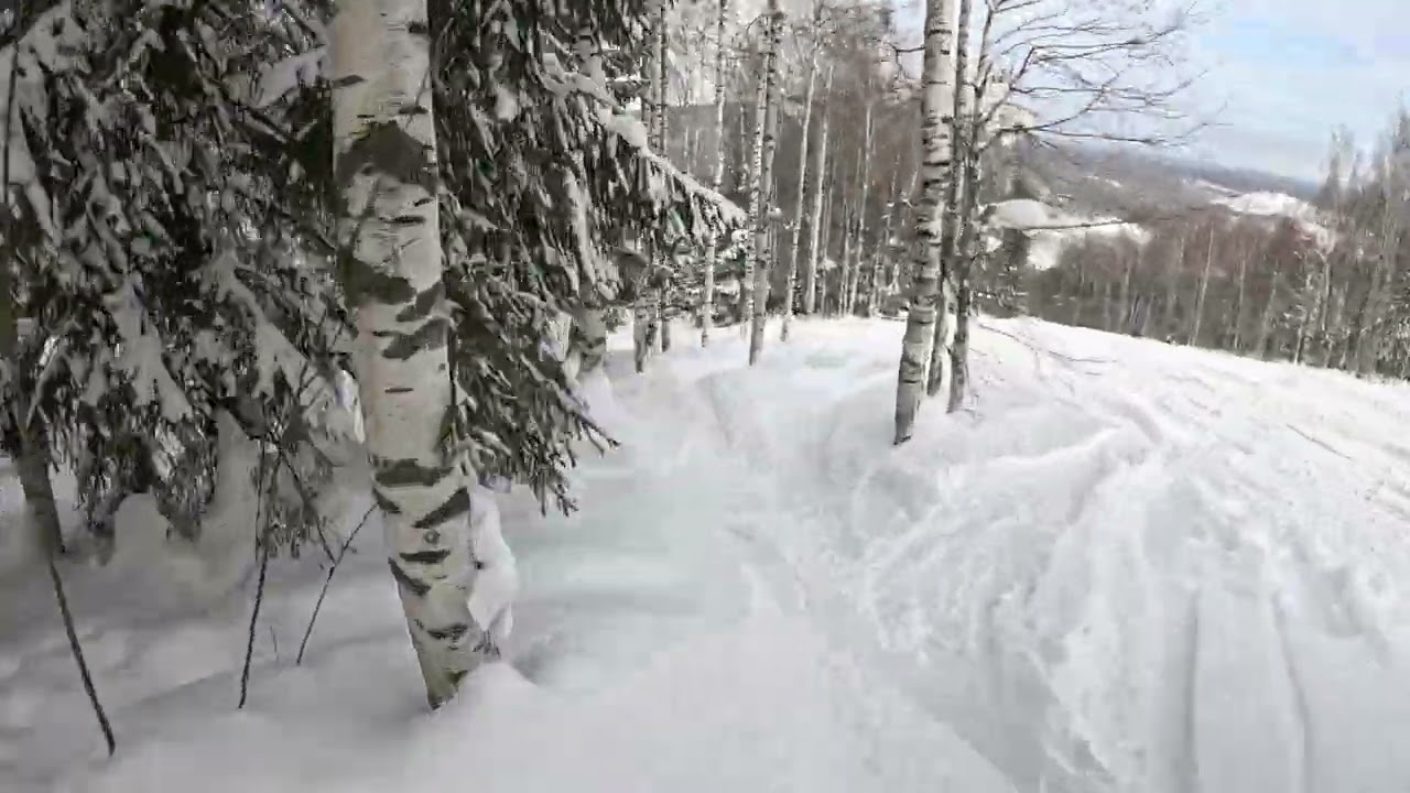 Губаха трасса лесная