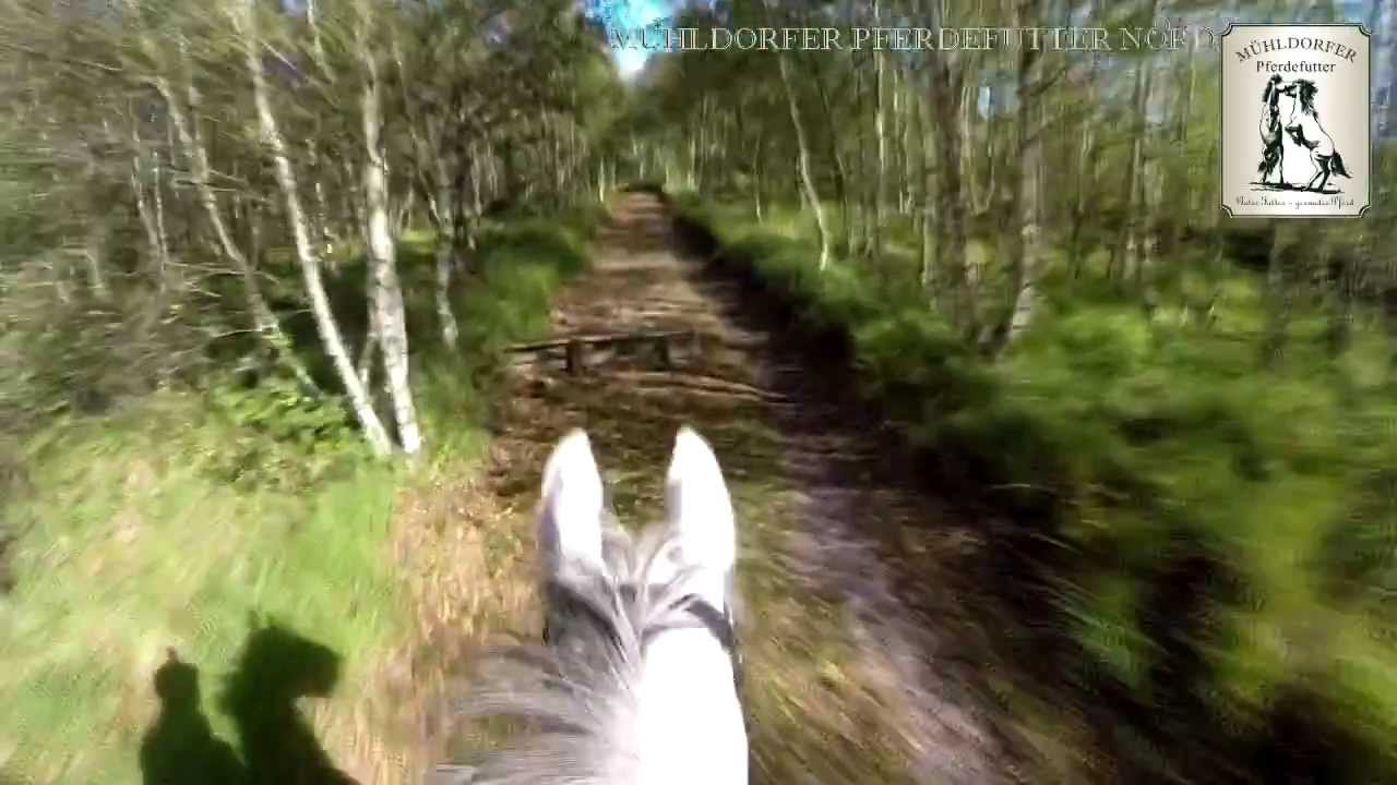Ritt auf der Geländestrecke St.Georg mit einer GoPro Hero 3+ PLUS