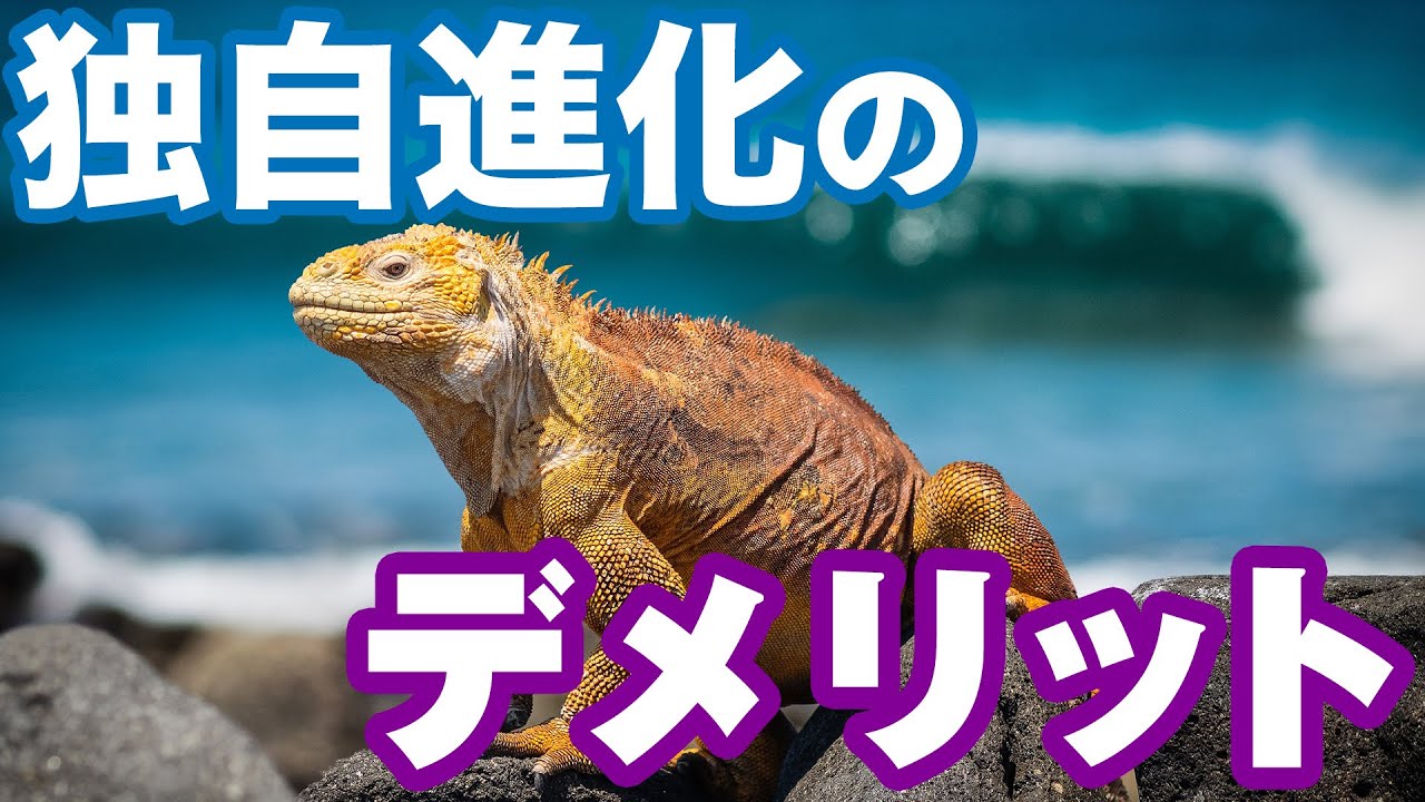 ガラパゴスの意味知ってる？