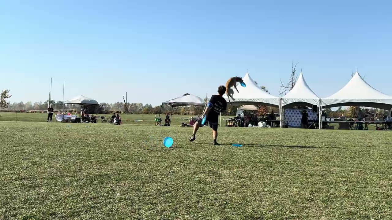 Shaun Hirai and Goldrush discdog freestyle USDDN 2025 first place