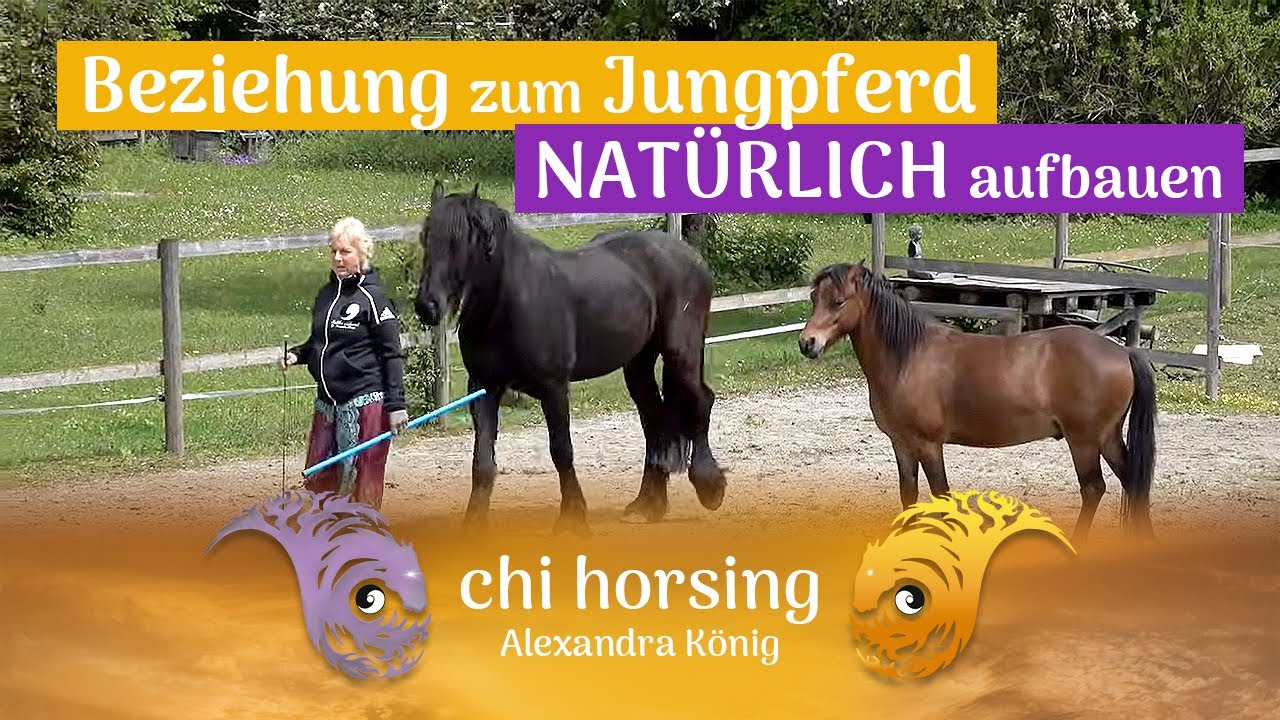 Pferdesprache ist etwas extrem einfaches! Es ist friedliches Dasein, ganz ohne Show und Dressur!