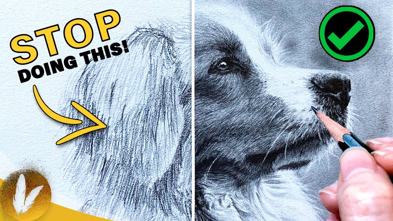 Key Components Of Fur - Drawing Realistic Fur Tutorial | How To Draw Fur Step By Step Do’s & Don’ts