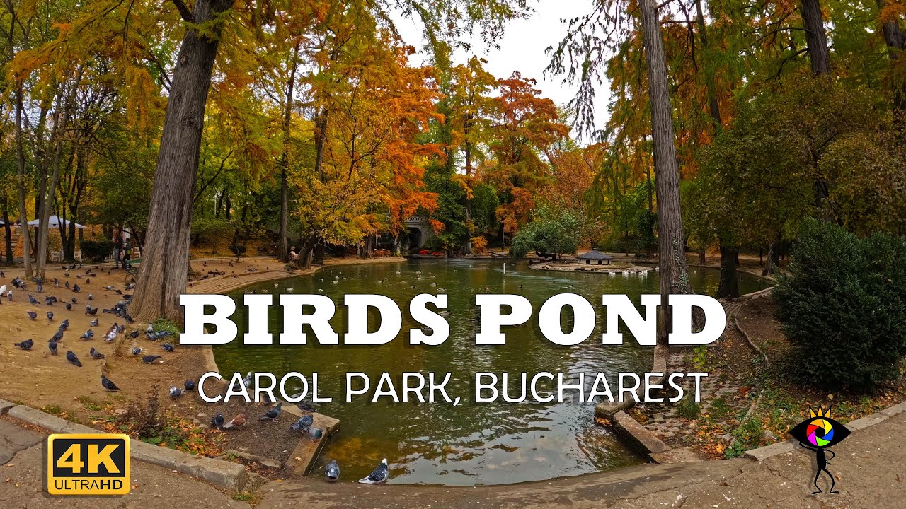 4k AUTUMN Colors TIME LAPSE on CAROL PARK Pond | Bucharest | 🇷🇴