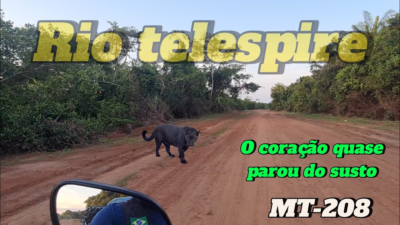 EPS.61 O Susto foi grande EXPEDIÇÃO BOA VISTA RR A BR-319
