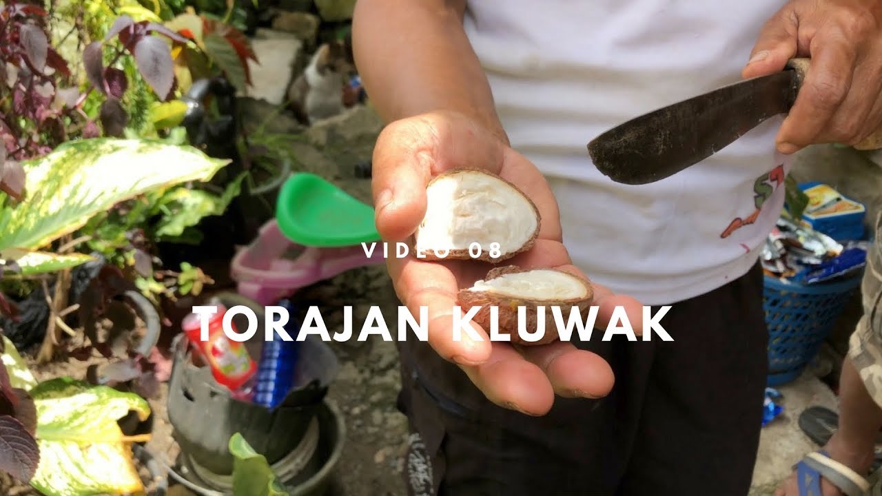 Tana Toraja Kluwak 08 | Indonesian food