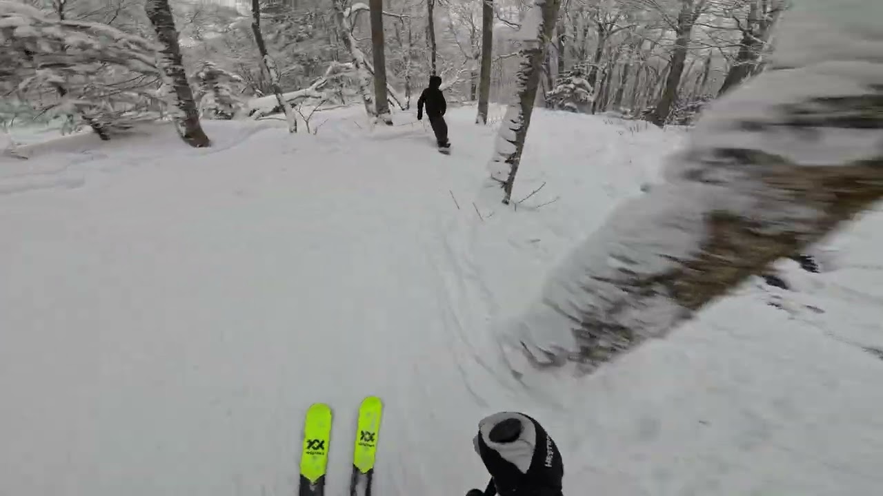 Pico 2-12-26 Poma Woods