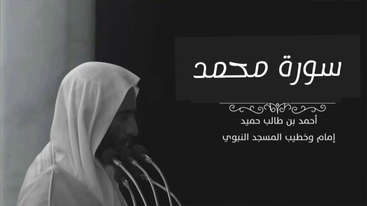 سورة محمد للشيخ أحمد بن طالب بن حميد