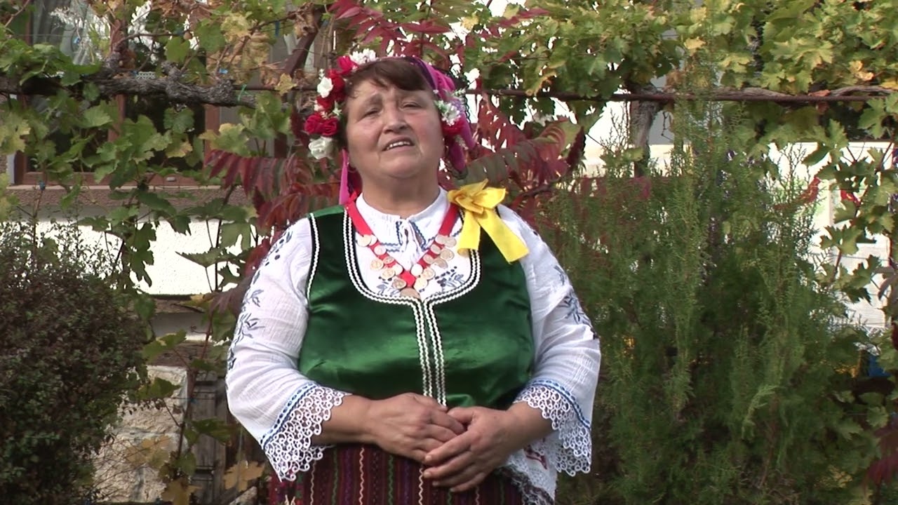 Димитричка Неделчева- Стояновата майчица