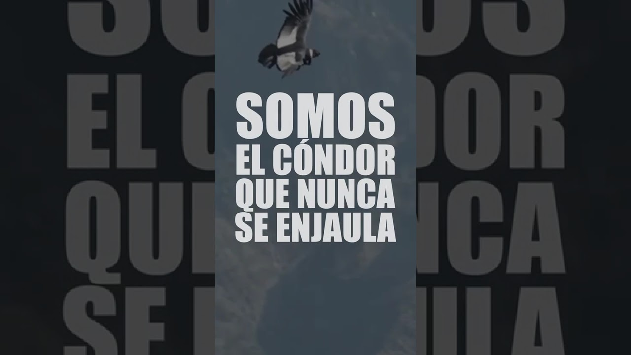 FUERA NOBOA