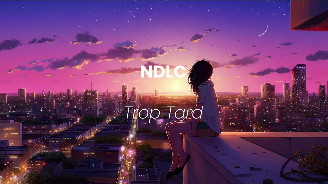 NDLC - TROP TARD (visualizer)