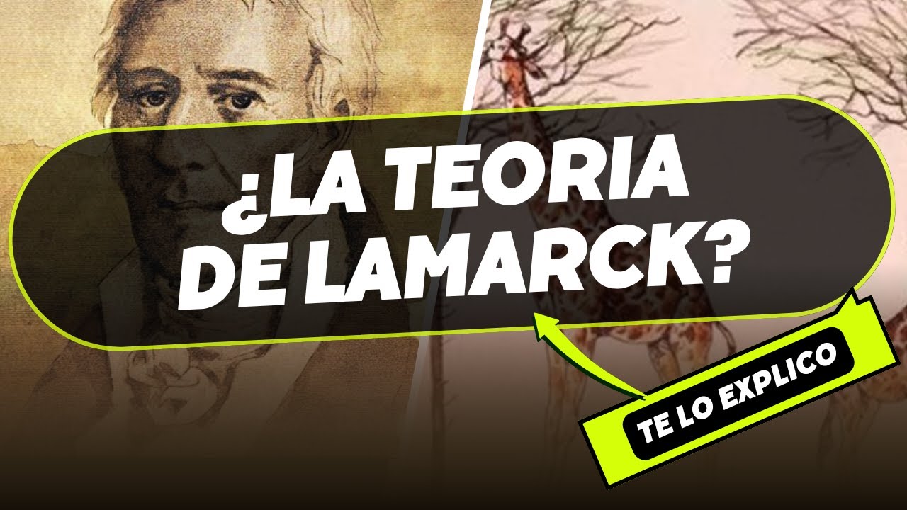 ¿Qué es la Teoría de Lamarck? La Primera Teoría Evolutiva/ Explicacion Facil