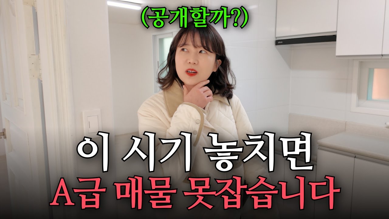 블루오션 기회가 다시 왔다! 이시기 놓치면 답없습니다(ft 현장공개)