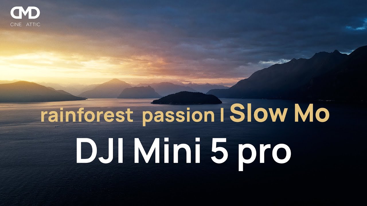 Rainforest passion | Slow motion test in low light  |  DJI Mini 5 pro