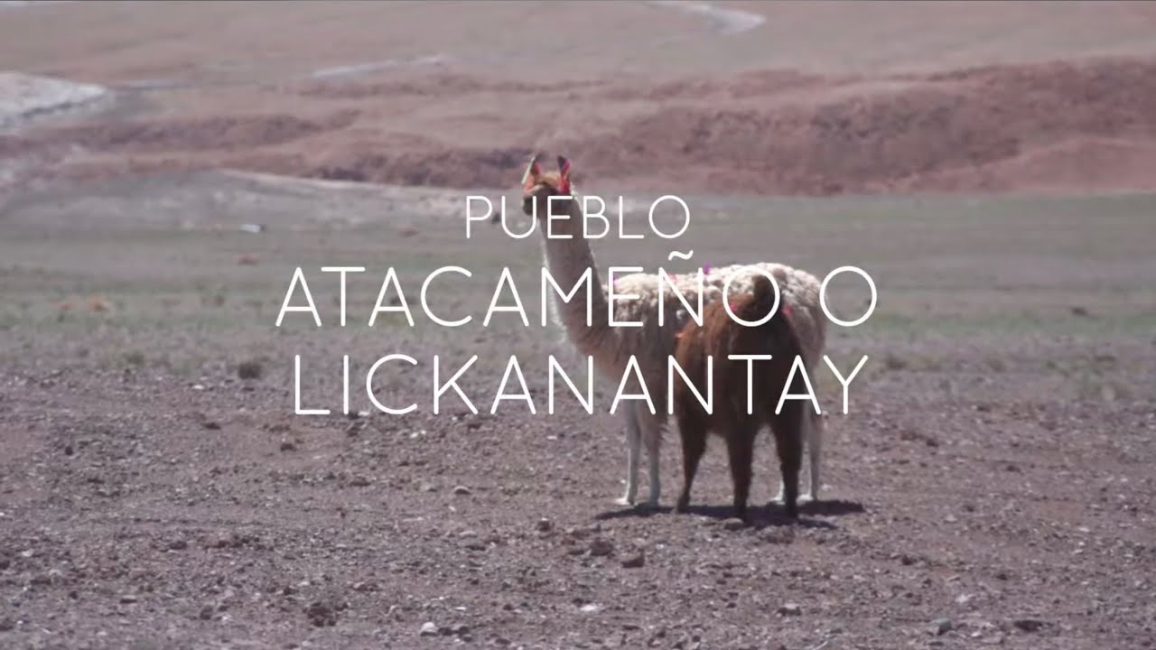 Artesanía de los Pueblos Indígenas - Pueblo Atacameño