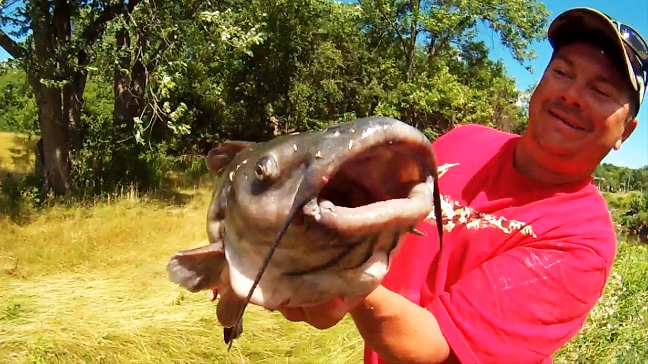 Sheboygan Fishing Guy. Sheboygan River, August 1st, 2015