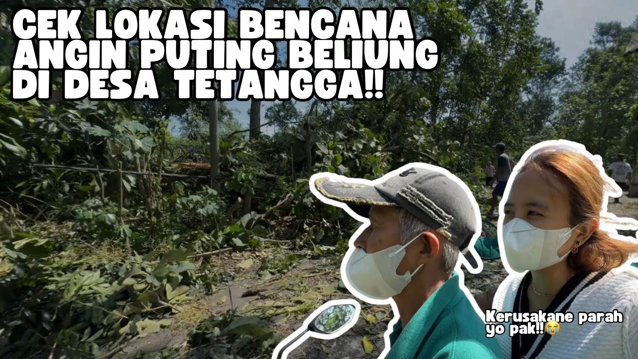 NGELER JAGUNGE BAPAK LANJUT CEK LOKASI BENCANA ANGIN PUTING BELIUNG - begini kondisinya ‼️