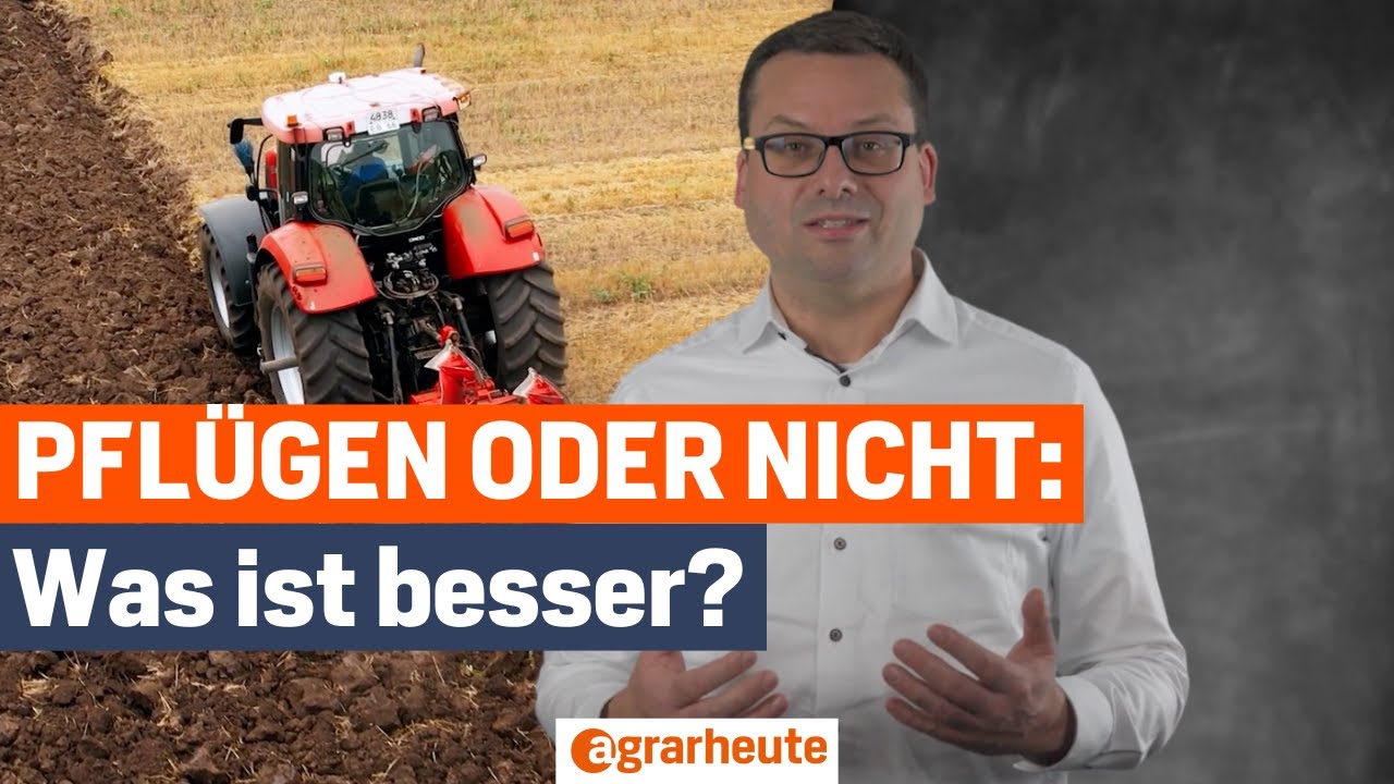 Pflügen oder pfluglos - was ist besser für den Boden?