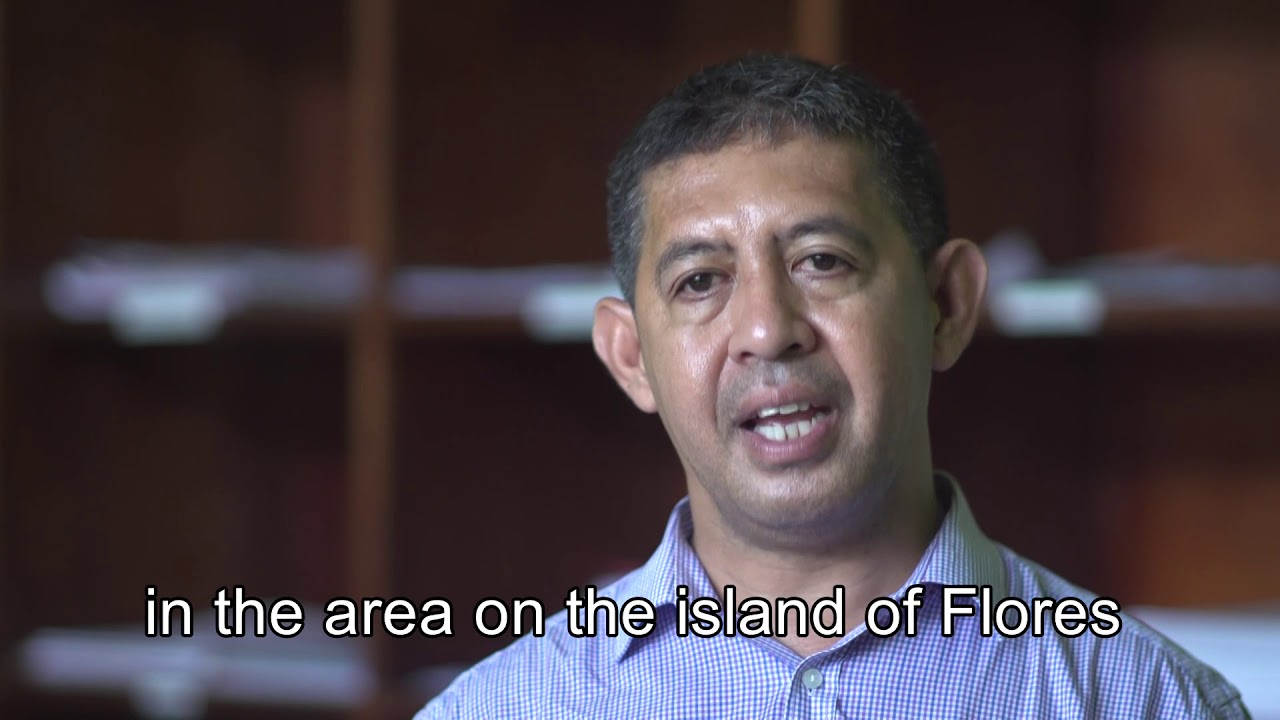 Flores, island of priests (Short Version)