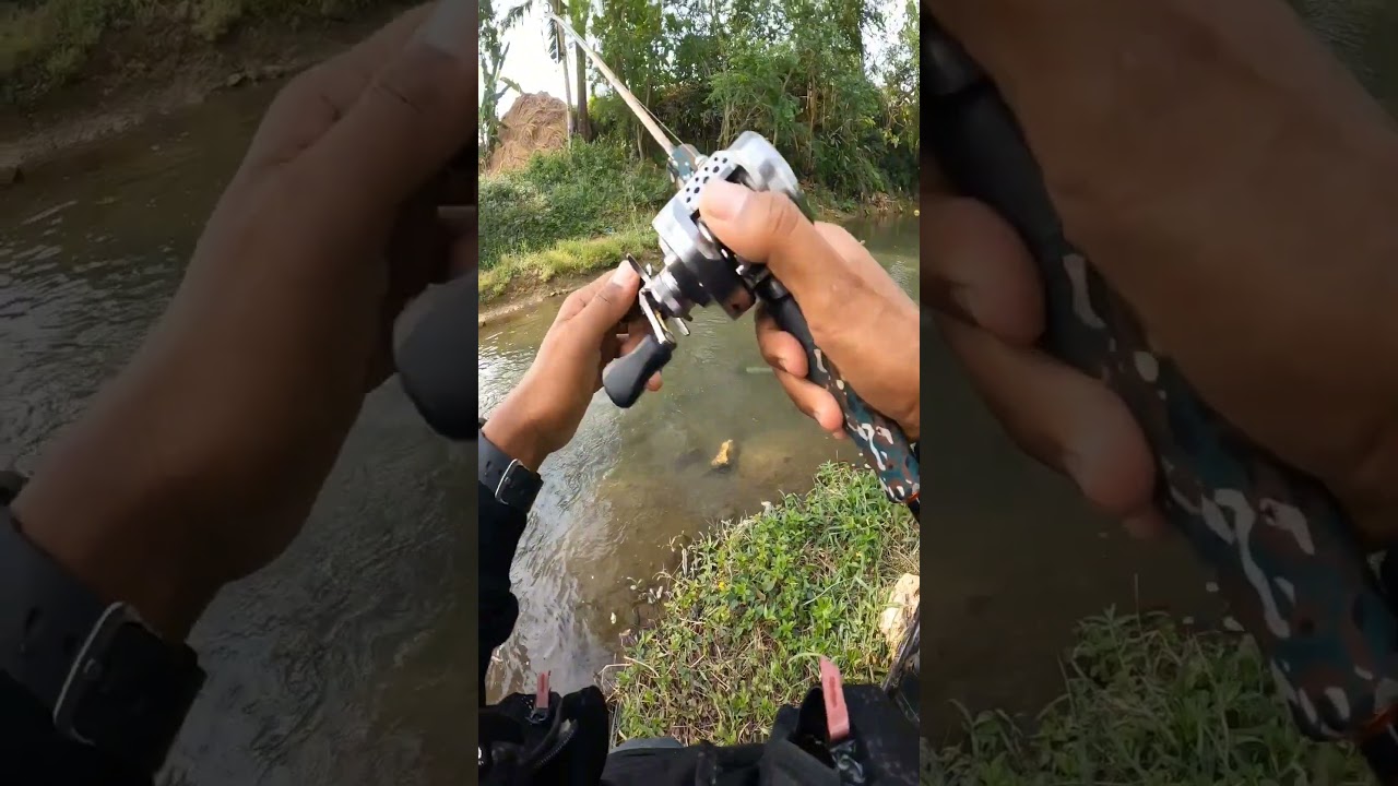 CASTING HAMPALA DI SUNGAI KECIL MENGUNAKAN SWIM SAGON DARI MAFIA FISH HUNTER 