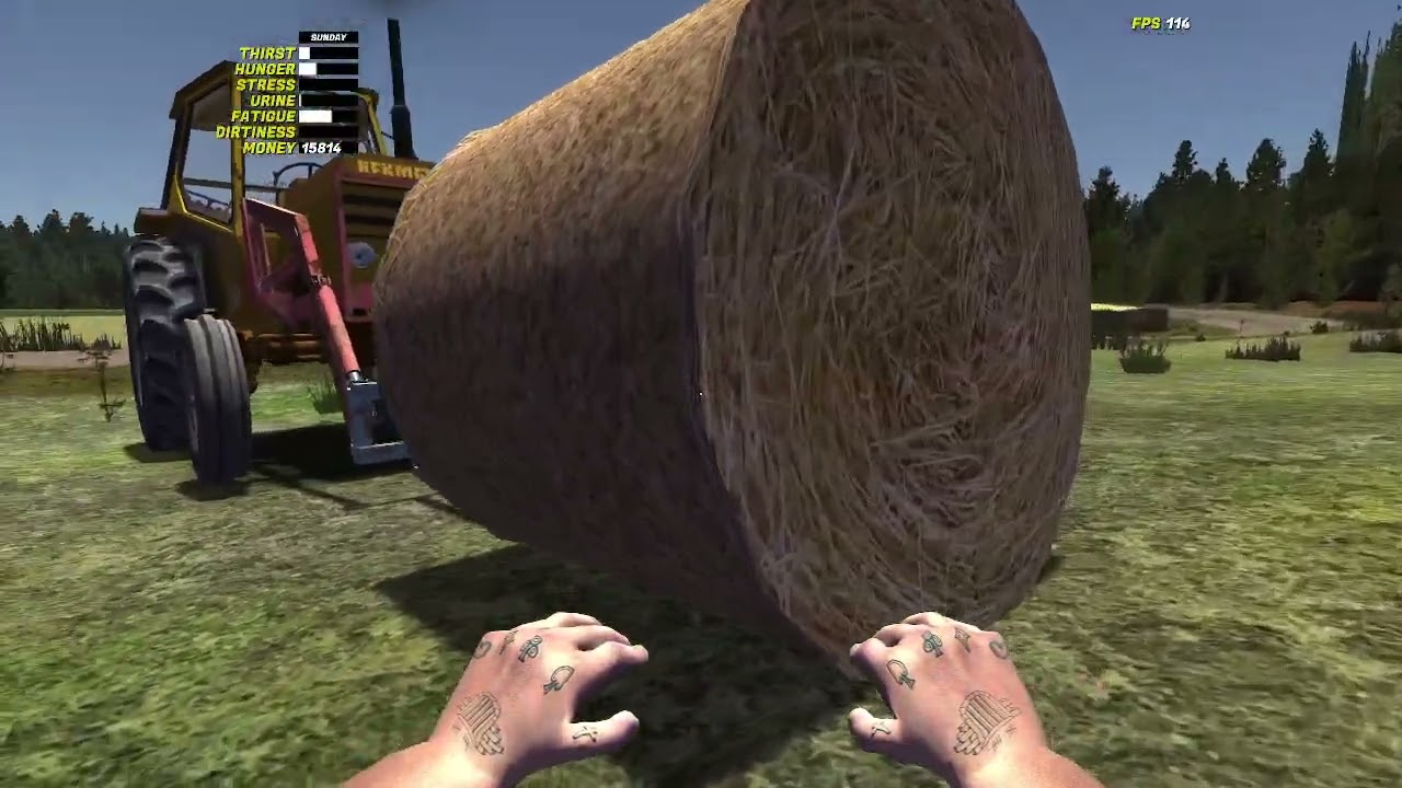 Let´s play My Summer Car Folge 35