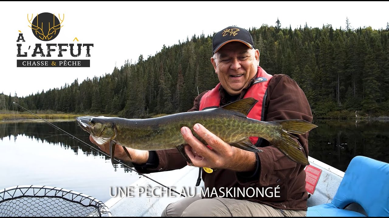 À l'affût: Maskinongé