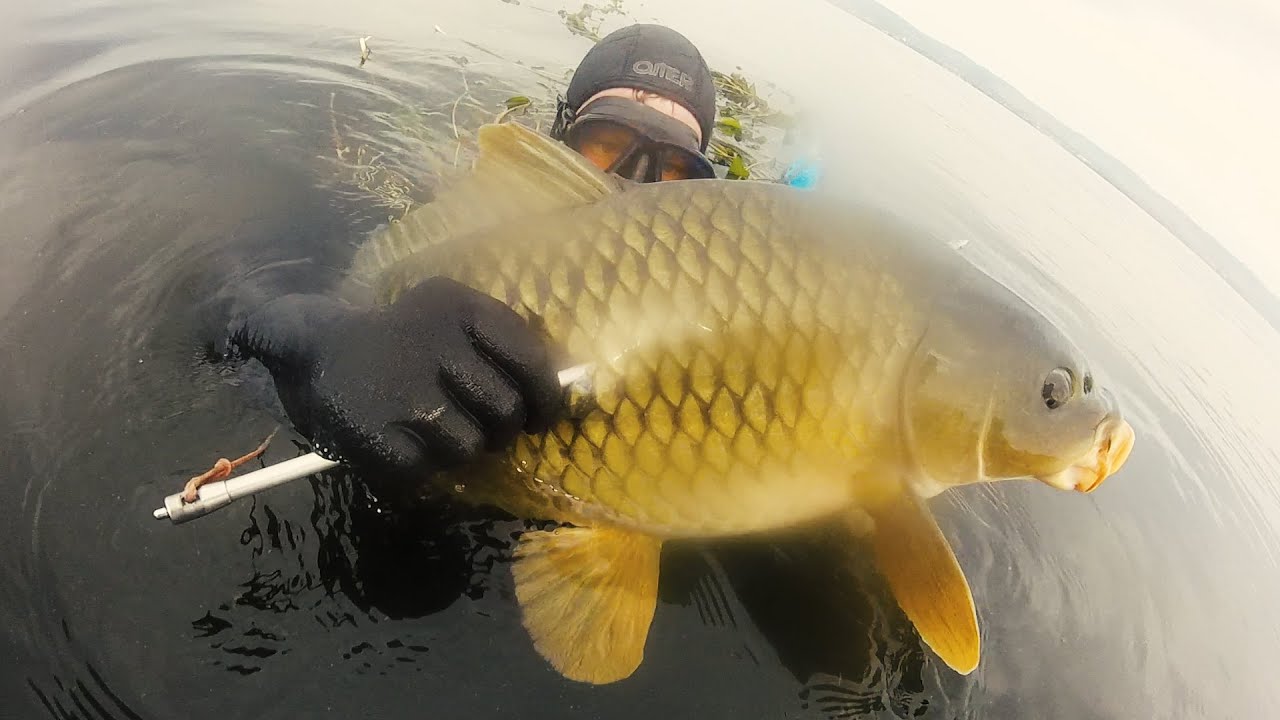 Подводная охота 