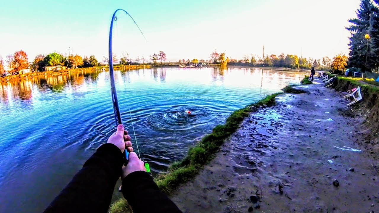 Questo non mi era MAI successo !! / Lake Monsters