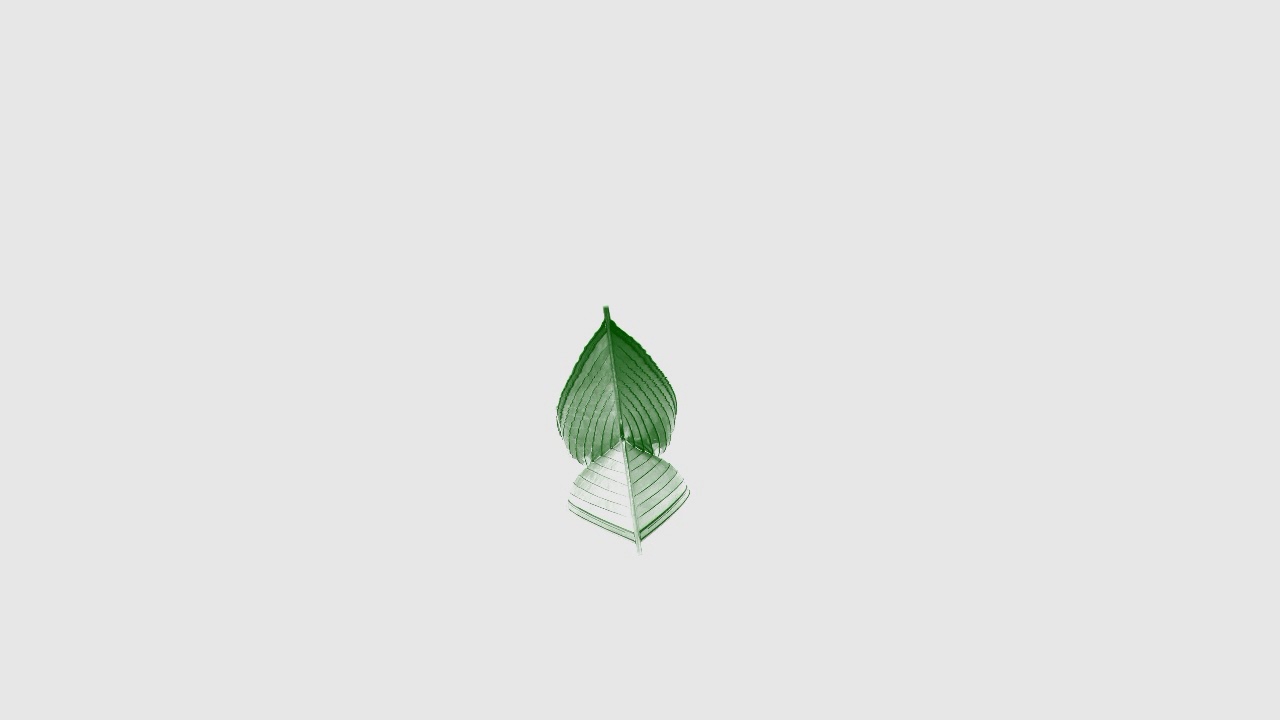 Benoît Pioulard - Home Taping Billowed Edge