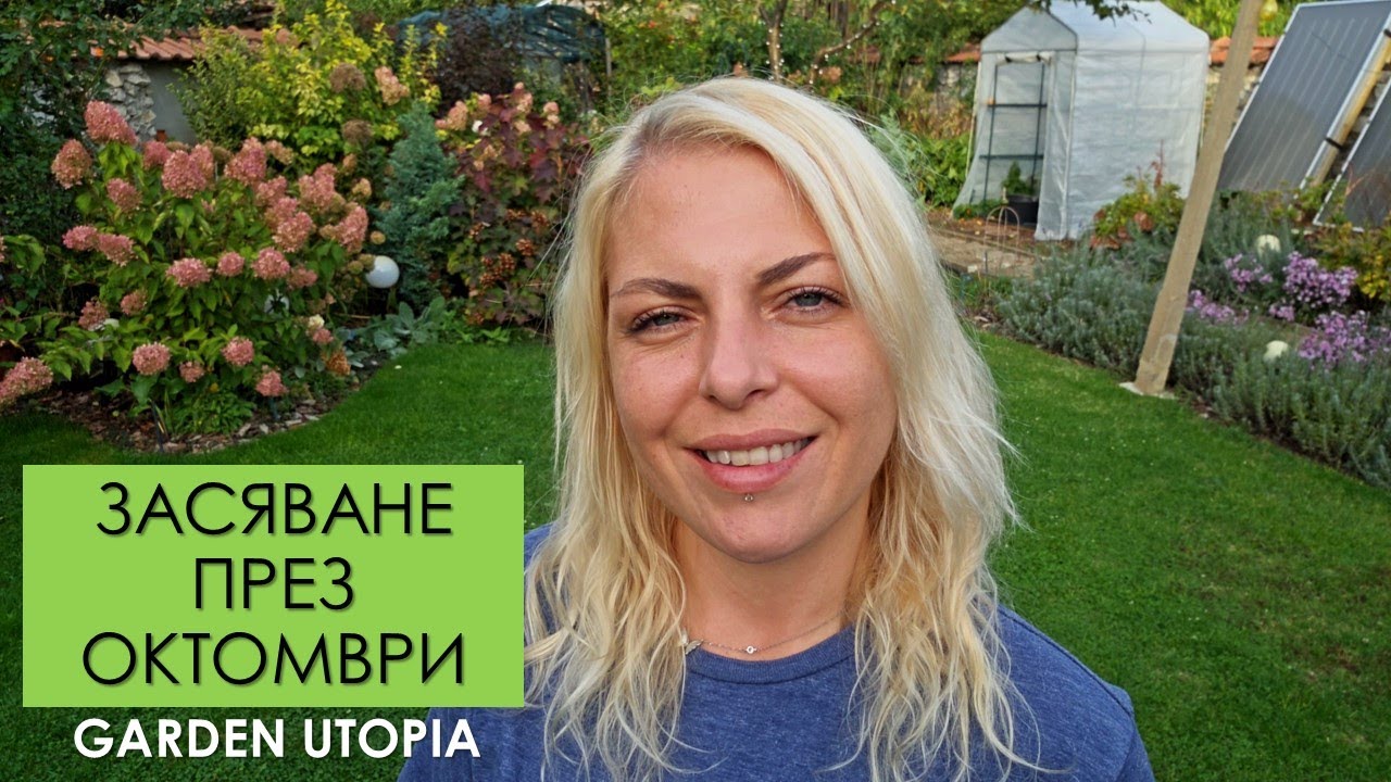 Какво ЗАСЯВАМ ПРЕЗ ОКТОМВРИ