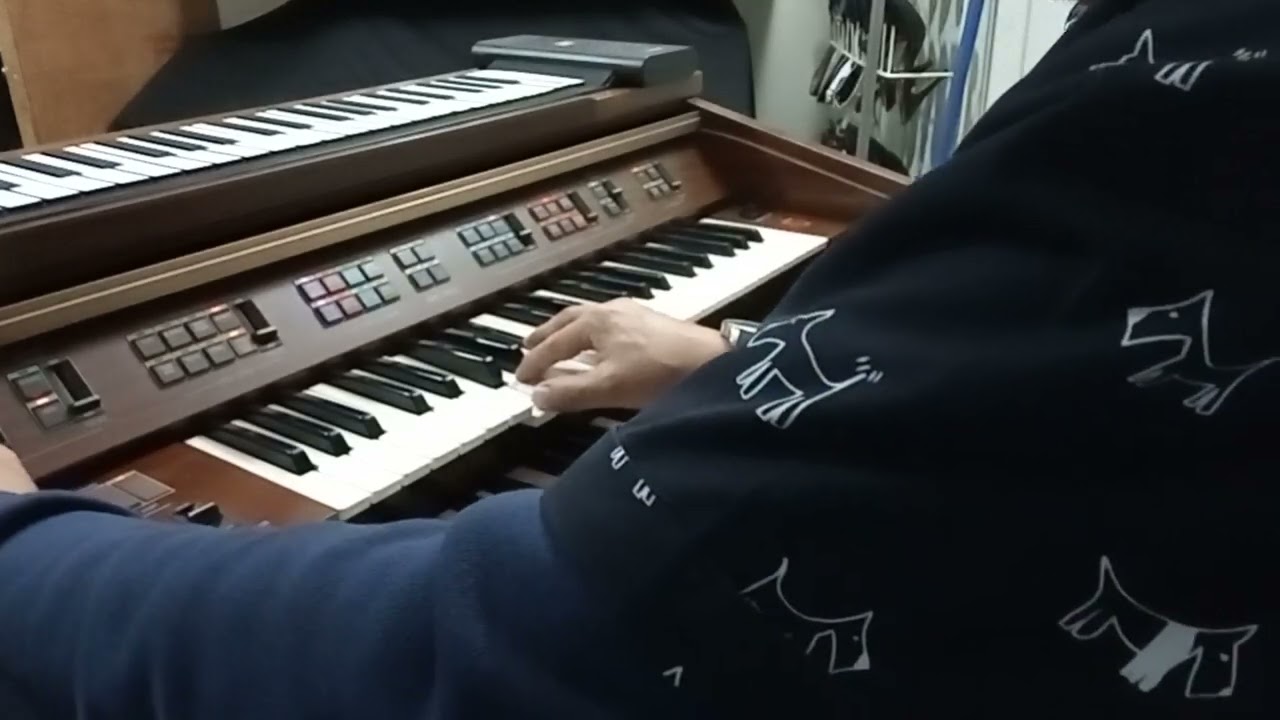 ELECTONE FE-50 & Piano Roll DEMO : AUGUSTO LIRA