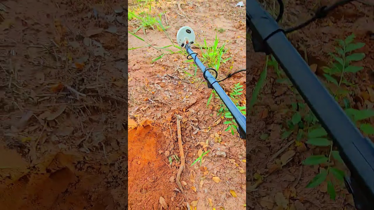 um achado a cada 