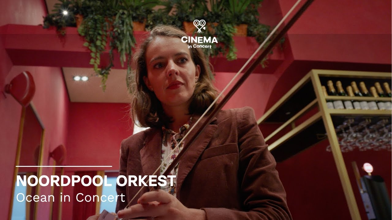 Noordpool Orkest: de kracht van live muziek!