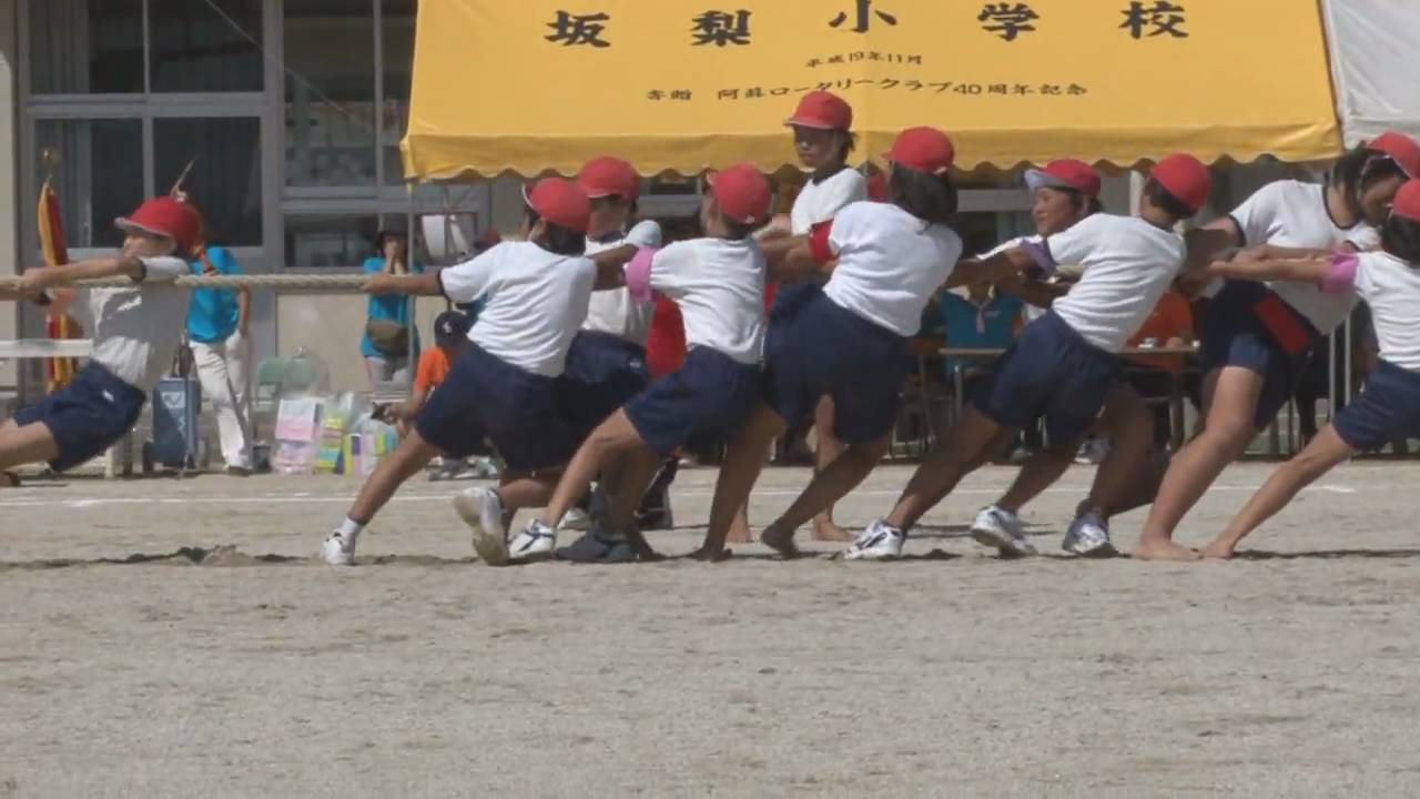 坂梨小学校～全児童紅白綱引き合戦